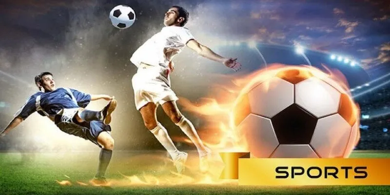 Lý do nên tham gia sảnh A - Sports tại Zbet?